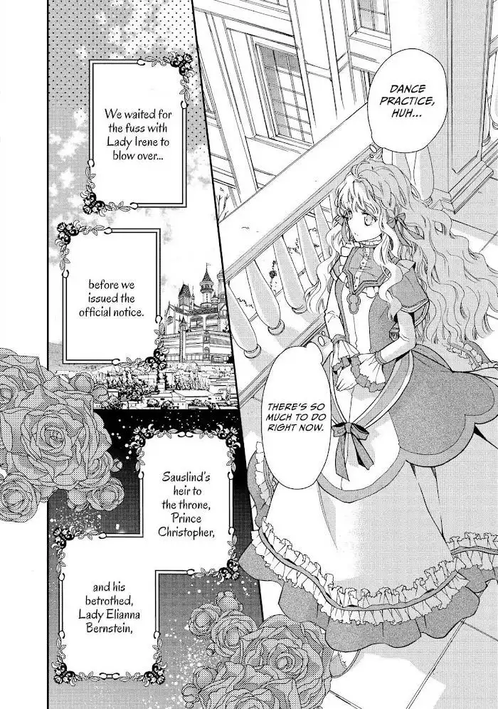 Princess Bibliophile Chapter 20 9